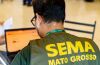 Karla Silva/ Sema-MT