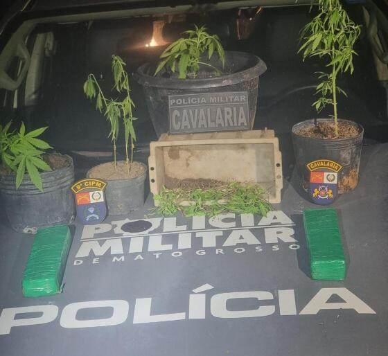 29.07 trafico pes de maconha.jpg