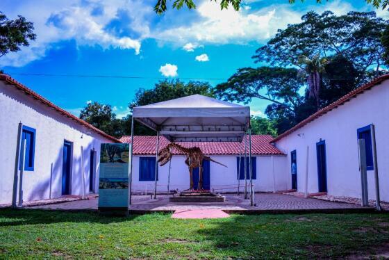 Museus de Arte Sacra e de História Natural 